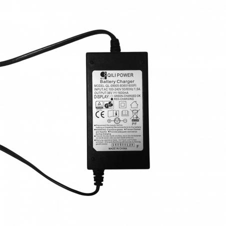 Charger for Old Models of Evo-Spirit Electric Skateboards