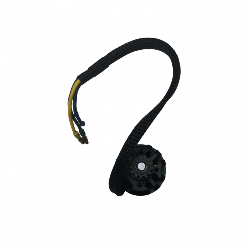 Motore 1000W per Switcher V1, V2, V3 - Skateboard Elettrico Evo-Spirit