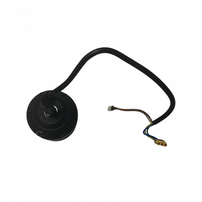 600W motor til Cruz V2 - Evo-Spirit Elektrisk Skateboard