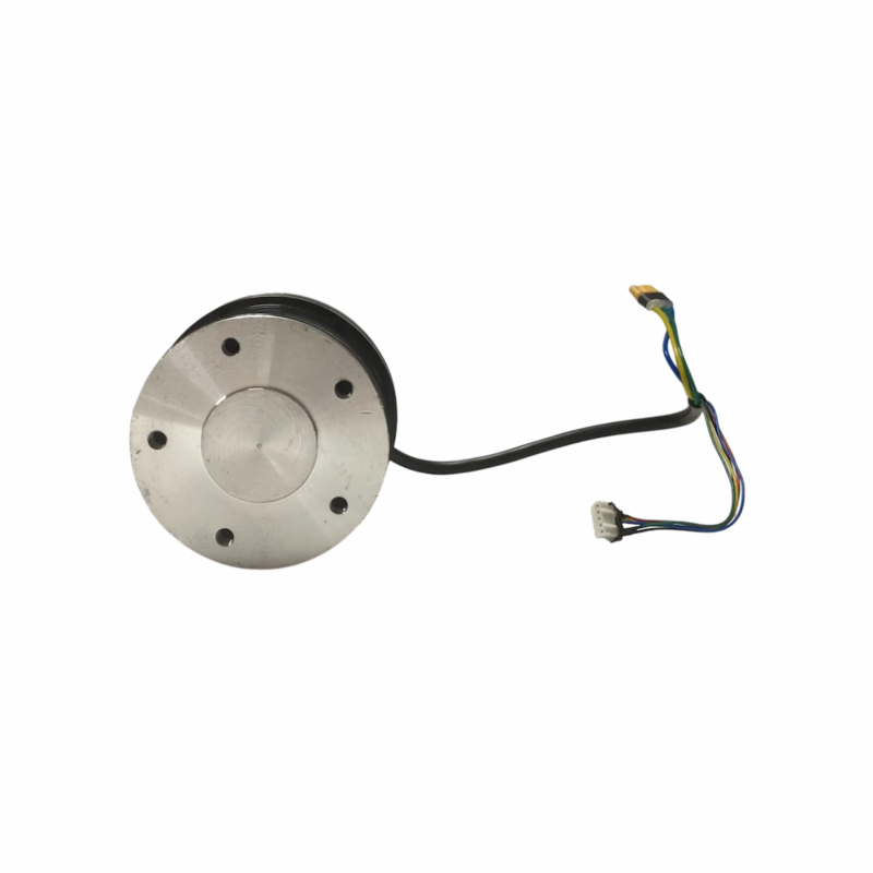 600W motor til Cruz V2 - Evo-Spirit Elektrisk Skateboard