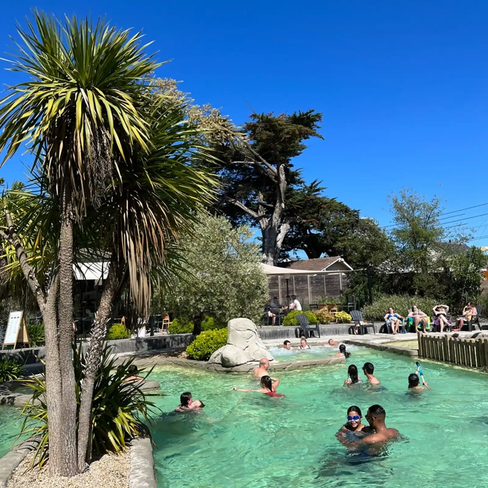 Pool with palm trees Camping Bel'Air